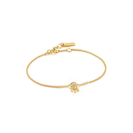 Ladies' Bracelet Ania Haie B026-02G 19 cm Ania Haie