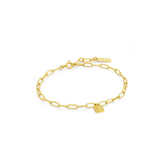 Ladies' Bracelet Ania Haie B032-01G 19 cm Ania Haie