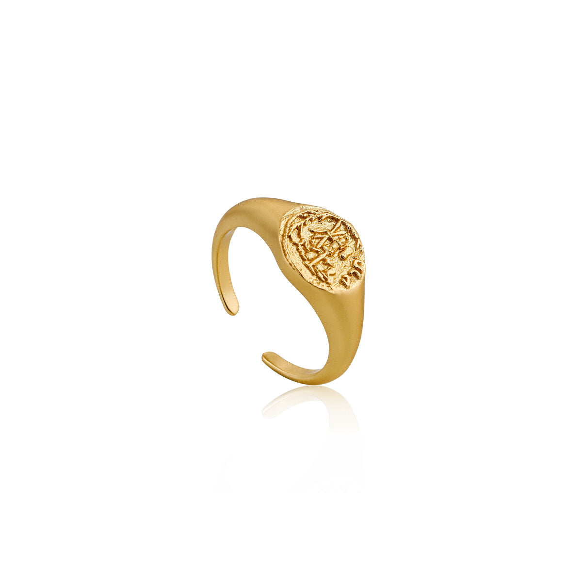 Ladies' Ring Ania Haie R009-03G (13)