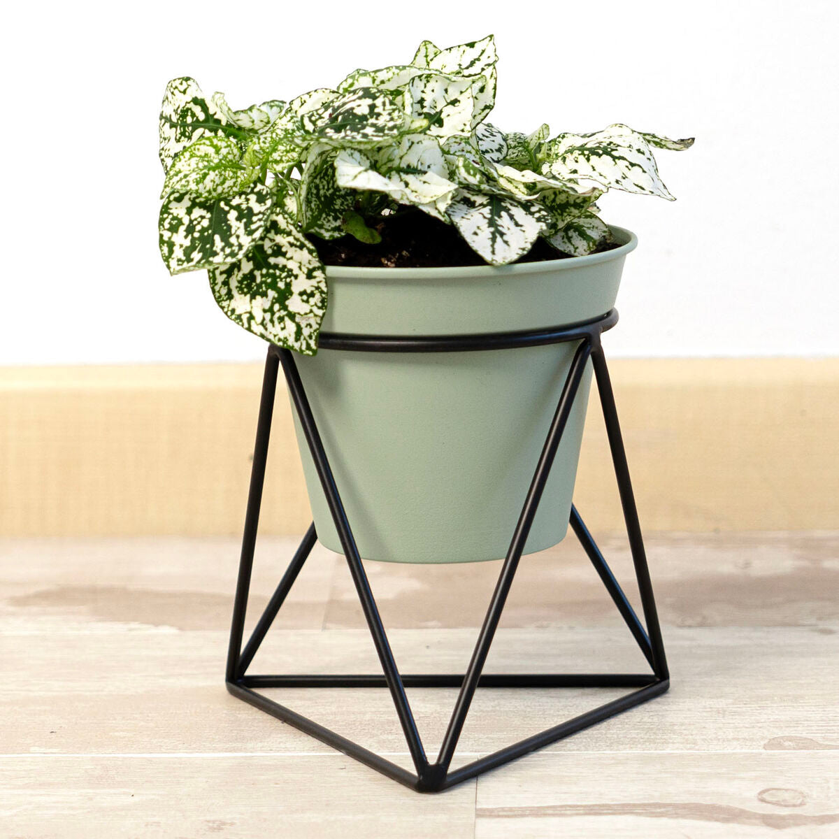 Planter with stand Vinthera Moa Green Metal 14,5 x 12,5 x 15 cm (12 Units)