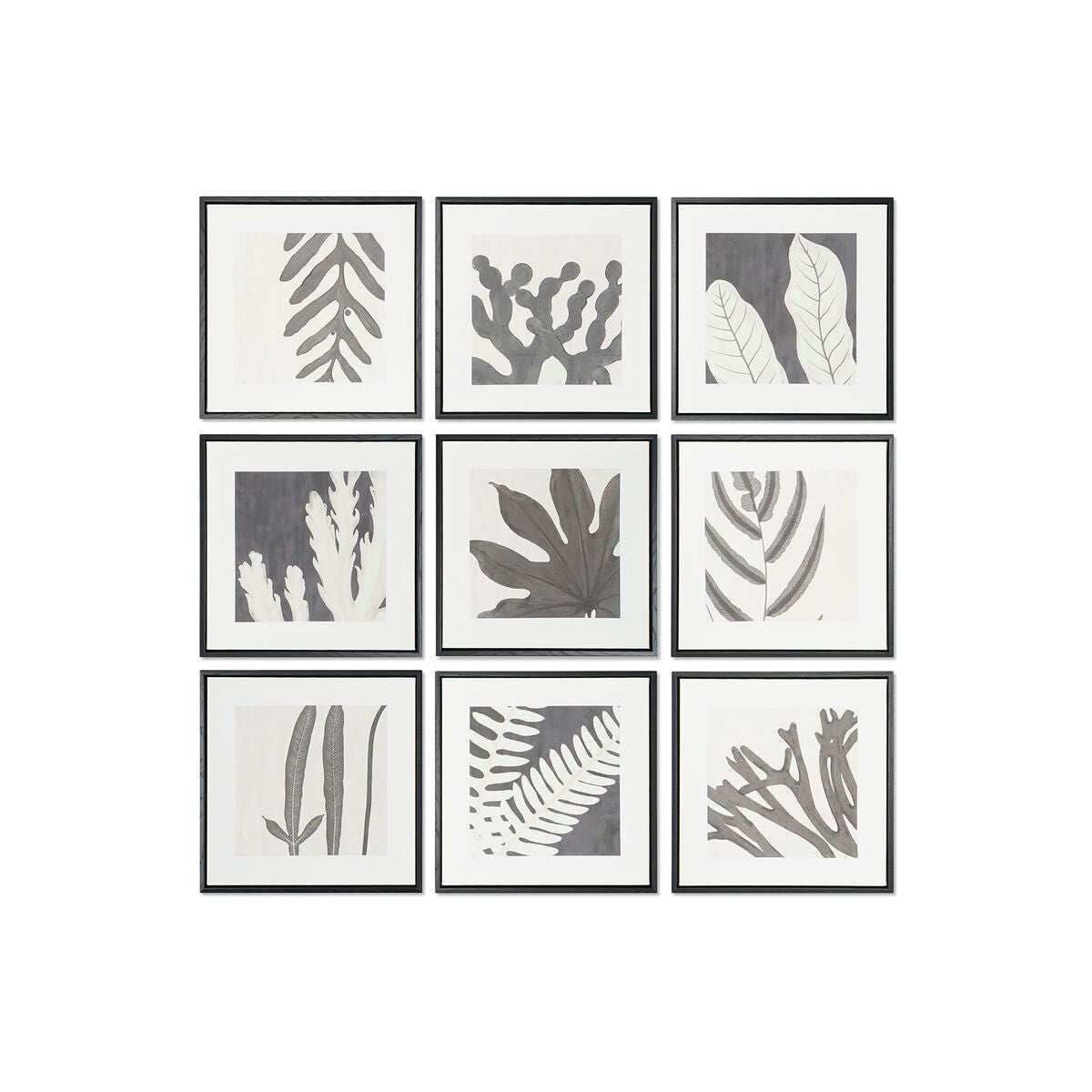 Painting DKD Home Decor 40 x 4 x 40 cm Leaf of a plant Urban (9Units)