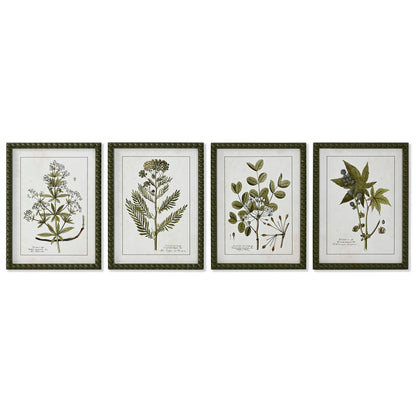 Painting Home ESPRIT Green Beige Shabby Chic Botanical plants 30 x 2,5 x 40 cm (4 Units)