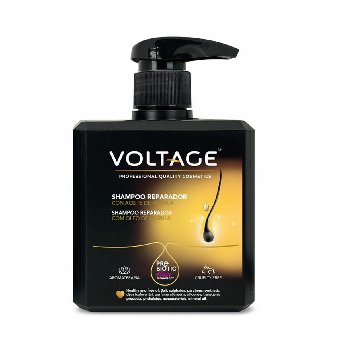 Voltage