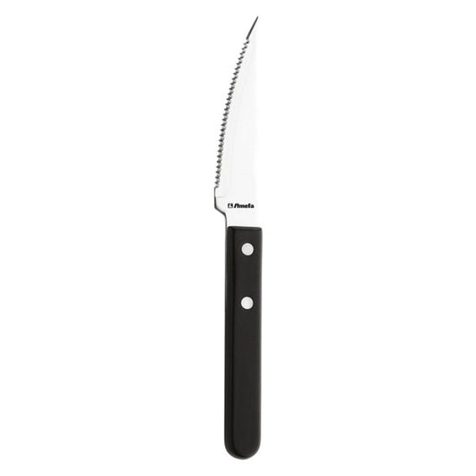 Veitsisarja Amefa Saw Metal Ruostumaton teräs 12 kpl (21,2 cm)